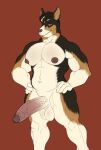  anthro back_muscles balls_blush balls_outline big_chest big_penis black_body black_fur blush body_blush canid canine canis domestic_dog dreadlocks fur genital_outline genitals hi_res hunnipanda male mammal musclegut muscular muscular_anthro muscular_male navel nipples penis piercing solo thickkitty15 vein veiny_penis 