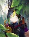  1boy ally_17451 animal_ear_fluff animal_ears artist_name bangs black_gloves black_hair black_shirt blunt_ends blurry blurry_foreground branch bright_pupils brown_eyes brown_gloves closed_mouth commentary depth_of_field drawstring earrings flower forest fox_ears genshin_impact gloves green_eyes green_hair hair_between_eyes hand_up highres hood hood_down hoodie jewelry leaf light_particles looking_at_viewer male_focus medal multicolored_clothes multicolored_eyes multicolored_hair nature outdoors shirt short_hair short_sleeves sidelocks single_glove solo tassel tighnari_(genshin_impact) turtleneck twitter_username two-tone_gloves two-tone_hair upper_body white_pupils yellow_flower 