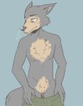  andromorph anthro beastars bodily_fluids canid canine canis chest_tuft clawed_hands clitoris crossgender enlarged_clitoris genital_fluids genitals intersex legoshi_(beastars) looking_aside mammal mastectomy_scar pubes pulling_down_shorts pussy_juice scar sigh solo trauma-punk tuft wolf 