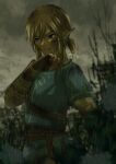  1boy bleeding blonde_hair blood blood_from_mouth blood_on_face blue_eyes blurry blurry_background bruise cloud cloudy_sky commentary_request cowboy_shot fingerless_gloves gloves highres injury link male_focus no_headwear outdoors pointy_ears rain sakuya_996 sky solo standing the_legend_of_zelda the_legend_of_zelda:_breath_of_the_wild wet 