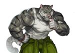  anthro big_muscles clothed clothing felid fur grey_body grey_fur hi_res male mammal muscular muscular_anthro muscular_male pantherine solo striped_body stripes tiger traver009 vein veiny_muscles 
