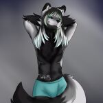  anthro black_body black_fur black_hair bulge canid canine canis charles_(dracodonmius-fursona) clothed clothing fur hair hi_res long_hair looking_at_viewer male mammal miscellaneous_eyes neck_tuft neiiko-slayers partially_clothed solo tuft wolf 