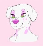  anthro canid canine canis clion dalmata dalmatian dalmatian_humanoid domestic_dog girly hi_res humanoid mammal solo 