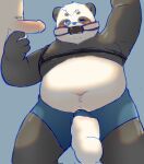  2022 anthro ball_gag balls belly bulge clothing erection gag genitals giant_panda group hi_res male male/male mammal navel one_eye_closed overweight penis solo_focus thepanda0309 underwear ursid young 