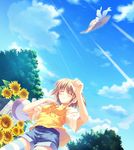  closed_eyes flower hat highres kusukusu moshimo_ashita_ga_hare_naraba nonosaki_tsubasa shorts smile solo straw_hat striped striped_legwear summer sunflower sunlight thighhighs 