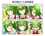  abuse chart expressions kazami_yuuka maruman tears touhou translated 