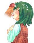  bad_id bad_pixiv_id blush breasts breasts_outside censored closed_eyes cum cum_in_mouth cum_on_hair cum_on_tongue facial fellatio green_eyes green_hair hand_on_own_chest kazami_yuuka large_breasts licking nipples oral penis plaid plaid_vest pointless_censoring short_hair solo_focus tomare tongue touhou vest 