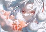  1girl absurdres animal_ears bangs blurry blurry_foreground close-up closed_mouth highres inubashiri_momiji looking_at_viewer pom_pom_(clothes) red_eyes short_hair solo toku_kekakewanko touhou white_hair wolf_ears wolf_girl 