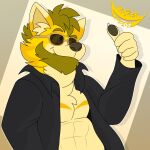  abs canid canine canis clothed clothing domestic_dog eyewear gesture hybrid jacket leather leather_clothing leather_jacket leather_topwear male mammal open_clothing open_jacket open_topwear rogerwoof rogerwoof_(character) solo sunglasses thumbs_up topwear yellow_body 