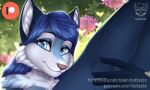  &lt;3 :3 advertisement alpha_channel anthro bianca_(sheep_and_wolves) blossoms blue_body blue_eyes blue_fur blue_hair canid canine canis casual_nudity daww digital_media_(artwork) female flower fur gloves_(marking) hair holding_legs holding_legs_up kotezio mammal markings nude patreon patreon_logo patreon_username plant preview russian sheep_and_wolves smile solo sparkling_eyes teaser text tree tuft url white_body white_fur wizart_animation wolf 