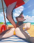  2022 anthro ball beach beach_ball beach_umbrella blush book butt camel_toe canid canine canis clothing detailed_background digital_media_(artwork) eyewear female fur glasses hacatiko hi_res illumination_entertainment inflatable mammal multicolored_body multicolored_fur porsha_crystal presenting presenting_hindquarters sea seaside sing_(movie) smile solo thong two_tone_body two_tone_fur underwear water wolf 