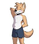  anthro belly blush bottomwear canid canine canis cel_shading clothing dingo fluffy male mammal navel shaded shorts shy slightly_chubby soft_belly solo solo_focus wonivero 
