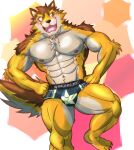  abs anthro barrel_(live-a-hero) blush bulge canid canine canis clothing hi_res lifewonders live-a-hero male mammal muscular muscular_anthro muscular_male muscular_thighs nipples pecs solo underwear video_games wolf yom_mido_plus 