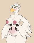  avian beak belly_blush bird blush body_blush breasts eyewear eyewear_on_head feathers female genitals goggles goggles_on_head gull half-closed_eyes hi_res lari larid narrowed_eyes navel non-mammal_breasts outie_navel pregnant pussy solo wide_hips 