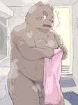  2019 anthro balls belly blush brown_fur dv-ch flaccid fur humanoid_hands male mammal moobs overweight overweight_male penis solo surprise towel ursid wet 