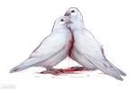  2022 ambiguous_gender avian beady_eyes beak biped bird black_claws blood blood_on_chest blood_on_ground bodily_fluids claws columbid dated duo feathered_wings feathers feral lostgoose pigeon side_view simple_background white_background white_body white_feathers white_wings wings 