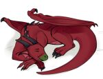  dragon feral kiri-anko male sketch sleeping solo 