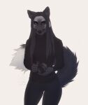  2020 anthro black_clothing black_eyebrows black_nose black_topwear blue_eyes camera canid canine clothed clothing dark_body dark_fur dark_hair dated eyebrows female fox front_view fur grey_body grey_ears grey_fur grey_hair grey_inner_ear grey_inner_ear_fluff grey_tail hair hi_res holding_camera holding_object inner_ear_fluff long_hair looking_at_viewer lostgoose mammal mouth_closed solo topwear tuft white_body white_fur white_tail 