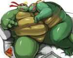  anthro belly big_belly blush digital_media_(artwork) duo incest_(lore) iwano male male/male mammal michelangelo_(tmnt) overweight overweight_male raphael_(tmnt) reptile scalie shell sibling simple_background teenage_mutant_ninja_turtles turtle 