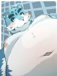  2022 anthro belly big_belly blue_body blush felid kemono male mammal menmen_kesinn moobs navel nipples overweight overweight_male pantherine pink_nose solo tiger white_body 