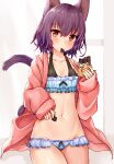  amber_eyes animal_humanoid bikini breasts candy cat_humanoid chocolate cleavage clothed clothing dessert eating felid felid_humanoid feline feline_humanoid female food hair hi_res humanoid kida_kuro_mu light_body light_skin looking_at_viewer mammal mammal_humanoid melan_(kida_kuro_mu) midriff navel purple_hair purple_tail robe skimpy solo swimwear 