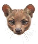  2021 ambiguous_form ambiguous_gender artist_logo black_nose brown_body brown_eyes brown_fur dated fur glistening glistening_eyes inner_ear_fluff logo lostgoose red_ears simple_background solo tan_body tan_fur tan_inner_ear_fluff tuft whiskers white_background 