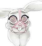  &lt;3 &lt;3_eyes anthro ball_gag bodily_fluids breasts clothed clothing cupless_bra disney doxy eyebrows female gag hi_res ineffective_clothing judy_hopps lagomorph leporid long_ears looking_at_viewer mammal mostly_nude nipples rabbit saliva simple_background small_breasts solo thick_thighs white_background zootopia 