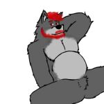  anthro belly canid canine canis drew_the_mountain fur grey_body grey_fur hair low_res male mammal nude red_eyes red_hair solo wolf 