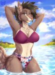  anthro beach big_breasts bikini bikini_bottom bikini_top breasts brown_body brown_fur canid canine canis clothed clothing cloud detailed_background digital_media_(artwork) female fur hair hi_res kotezio looking_at_viewer mammal open_mouth outside partially_submerged plant portrait seaside sky smile solo sun swimwear three-quarter_portrait topwear water 