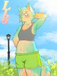  anthro blush blush_lines bottomwear bra canid canine canis clothed clothing cloud cloudscape female florence_(lolscarletxi) fluffy fluffy_tail grass light lolscarletxi mammal outside plant shorts sky solo street_lamp sun sunlight underwear wolf 