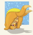  absurd_res alex.fetter female feral floatzel fur generation_4_pokemon genitals hi_res holly_(alex.fetter) orange_body orange_fur patreon presenting purple_eyes pussy 