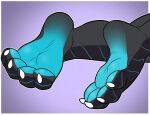  4_toes anthro barefoot dragon feet foot_focus foot_shot grey_body grey_scales hi_res male pitfallpup purple_background scales scalie simple_background soles solo toes xero_(captainscales) 