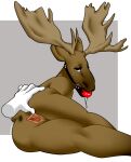  2015 ambiguous_gender anthro antlers anus ball_gag bdsm bedroom_eyes bound brown_body brown_fur capreoline cervid ch40t1c digital_media_(artwork) disembodied_hand duo female female/ambiguous floating_hands fur gag gagged gagged_drooling genitals hi_res horn mammal moose narrowed_eyes pussy seductive shaded simple_background solo_focus spread_pussy spreading 