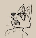  anthro canid canine eyes_looking_up fangs fox fur hi_res looking_up male mammal open_mouth powerinfinity shocked shocked_expression simple_background sketch solo 