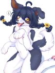  2022 ahoge anthro black_hair black_pawpads blush border_collie braided_hair breasts canid canine canis claws collie countershading cute_fangs domestic_dog fangs featureless_breasts featureless_crotch female female_anthro finger_claws floppy_ears fluffy fur grey_body grey_fur hair happy herding_dog hi_res kemono kneeling koto0v0haru kotorita mammal multicolored_body multicolored_fur multicolored_pawpads multicolored_tail navel neck_tuft nude open_mouth open_smile pastoral_dog pawpads paws pigtails pink_pawpads sheepdog smile smiling_at_viewer solo tail_motion tailwag teeth tongue tongue_out tuft two_tone_body two_tone_fur two_tone_tail white_body white_fur yellow_eyes 
