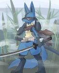  1boy adjusting_scarf animal_feet animal_hands arm_at_side belt black_fur blue_fur body_fur brown_scarf closed_mouth clothed_pokemon commentary day expressionless fog furry furry_male grass hand_up highres holding holding_sword holding_weapon katana looking_at_viewer lucario male_focus multicolored_fur outdoors pokemon pokemon_(creature) red_eyes scar scar_on_face scarf sheath snout solo spikes standing sukasshu_(mroooo) sword torn_scarf weapon yellow_fur 