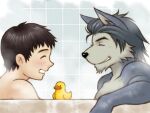  2013 anthro bath_duck bathroom bathtub black_nose blush brown_hair canid canine canis colored countershade_face countershade_torso countershading domestic_dog duo eyes_closed fur grey_body grey_countershading grey_fur grey_hair hair hiroyuki_(morenatsu) human husky kouya_(morenatsu) light_body light_skin male mammal morenatsu multicolored_body multicolored_fur nordic_sled_dog shirako side_view spitz steam two_tone_body two_tone_fur video_games visual_novel 