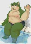  anthro belly blush bottomwear bulge canid canine canis clothing domestic_dog eyebrows fur green_body green_fur hi_res lifewonders live-a-hero male mammal mokdai moobs navel nipples overweight poolside shorts solo swimming_pool swimwear thick_eyebrows video_games xiongmaogumiao1 