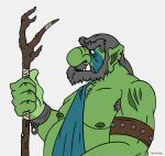  beard chub_(disambiguation) druid facial_hair fantasy green_body green_skin hi_res humanoid magic_user male oganok old orc portrait slightly_chubby solo tribal_spellcaster tusks 