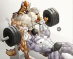  2022 abs anthro anthro_on_anthro barazoku barbell barefoot biceps big_bulge big_muscles bodily_fluids bulge bulge_in_face canid canine canis chirros clenched_teeth clothed clothing domestic_dog duo exercise eyebrows feet fur german_shepherd hair herding_dog huge_bulge huge_muscles husky lying male male/male mammal muscular muscular_anthro muscular_male narrowed_eyes nipples nordic_sled_dog obliques on_back pastoral_dog pecs quads shadow simple_background smile spitz spotting standing sweat teeth thong topless topless_anthro topless_male triceps tuft underwear vein veiny_muscles watermark weight_bench weightlifting white_background workout 