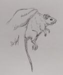  ambiguous_gender feral fur graphite_(artwork) greyscale held_up hi_res lied_etal mammal monochrome murid murine pencil_(artwork) rat rodent scruff_grab signature simple_background solo traditional_media_(artwork) white_background 