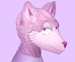  absurd_res ambiguous_gender anthro cheek_tuft clothing facial_tuft fluffy fur headshot_portrait hi_res looking_at_viewer nonbinary_(lore) pink_background pink_body pink_fur pink_nose portrait purple_eyes shirt short_ears simple_background solo stare topwear tuft 