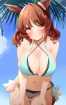  1girl animal_ears aqua_bikini bangs bare_arms bare_shoulders bikini blue_sky blush breasts brown_eyes brown_hair cloud collarbone commentary_request cowboy_shot day hair_ornament hairclip highres horse_ears komb large_breasts light_hello_(umamusume) looking_at_viewer medium_hair navel outdoors partial_commentary side-tie_bikini sky smile solo standing stomach swimsuit umamusume 