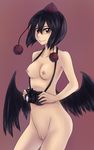  black_hair black_wings breasts camera dos_(james30226) hat looking_at_viewer nipples nude pussy red_eyes shameimaru_aya short_hair small_breasts smile solo tokin_hat touhou uncensored wings 