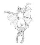  anthro chiropteran female happy hladilnik indian_flying_fox mammal pose pteropodid pussy simple_background sketch solo tongue tongue_out wings 
