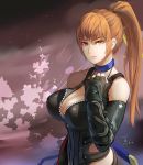  1girl breasts brown_eyes brown_hair cao_xiong cleavage dead_or_alive dead_or_alive_5 female kasumi_(doa) large_breasts long_hair ponytail solo tied_hair 