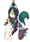  1girl absurdres animal_ear_fluff animal_ears bangs black_hair black_shirt blue_bow blunt_ends blush bow bright_pupils brown_eyes brown_pantyhose commentary_request drawstring ear_bow earrings eyelashes flower fox_ears fox_girl fox_tail full_body genderswap genderswap_(mtf) genshin_impact green_eyes green_hair hair_between_eyes highres hood hood_down hoodie jewelry kneeling kuroida looking_at_viewer medal mixed-language_commentary multicolored_clothes multicolored_eyes multicolored_hair pantyhose parted_lips shirt short_hair short_sleeves sidelocks single_earring solo tail tassel tied_ears tighnari_(genshin_impact) turtleneck two-tone_hair vision_(genshin_impact) white_background white_pupils yellow_flower 