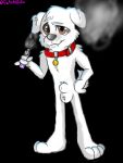  3:4 animal_genitalia brian_griffin canid canine canis collar domestic_dog family_guy fur genitals male mammal nightzombie red_collar sheath smoke smoking solo vape vape_pen white_body white_fur 