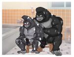  ape balls bathing big_daddy_(sing) blush duo erection father furrygl genitals gorilla haplorhine hi_res humanoid_genitalia humanoid_penis illumination_entertainment johnny_(sing) male mammal parent penis primate sing_(movie) son 