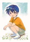  18arumik_4 1boy blue_hair blush child field flower flower_field kneeling looking_at_viewer male_child male_focus open_mouth orange_shirt original outdoors purple_eyes shirt short_hair shorts simple_background socks solo 